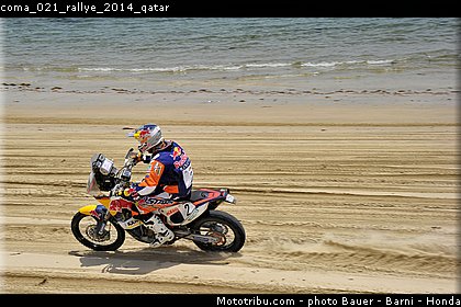 coma_021_rallye_2014_qatar.jpg