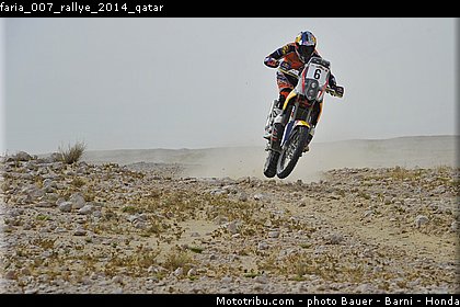 faria_007_rallye_2014_qatar.jpg