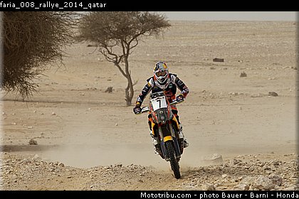 faria_008_rallye_2014_qatar.jpg
