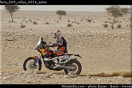faria_009_rallye_2014_qatar.jpg