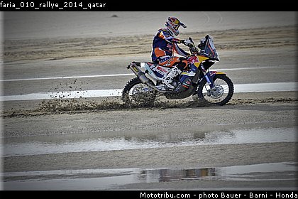 faria_010_rallye_2014_qatar.jpg