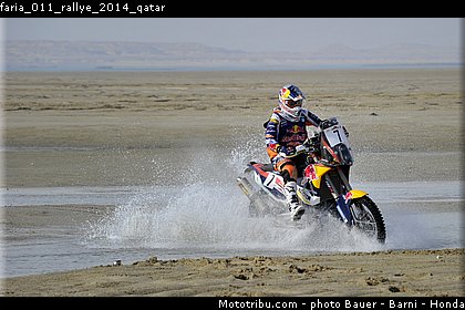 faria_011_rallye_2014_qatar.jpg