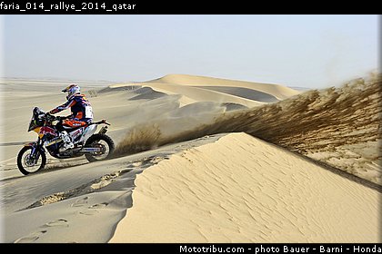 faria_014_rallye_2014_qatar.jpg