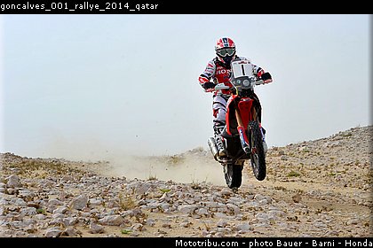 goncalves_001_rallye_2014_qatar.jpg