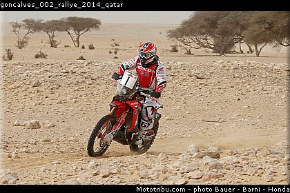 goncalves_002_rallye_2014_qatar.jpg