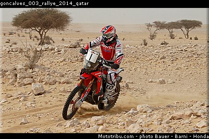 goncalves_003_rallye_2014_qatar.jpg