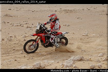 goncalves_004_rallye_2014_qatar.jpg