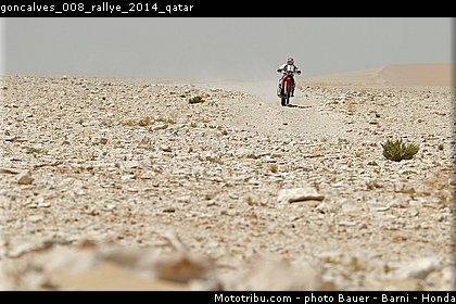goncalves_008_rallye_2014_qatar.jpg