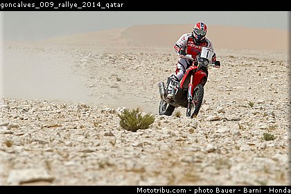 goncalves_009_rallye_2014_qatar.jpg