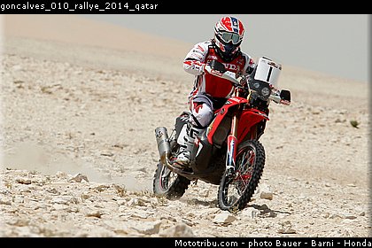 goncalves_010_rallye_2014_qatar.jpg
