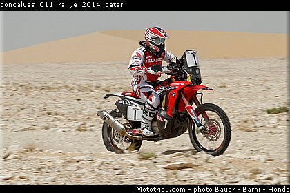 goncalves_011_rallye_2014_qatar.jpg