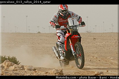 goncalves_013_rallye_2014_qatar.jpg