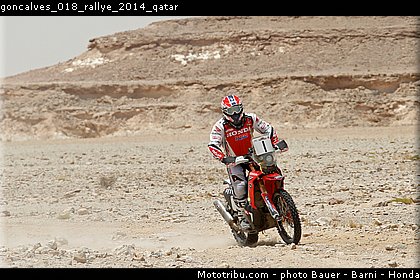 goncalves_018_rallye_2014_qatar.jpg