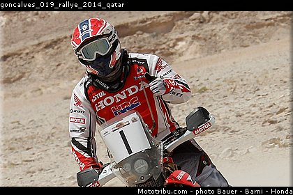 goncalves_019_rallye_2014_qatar.jpg