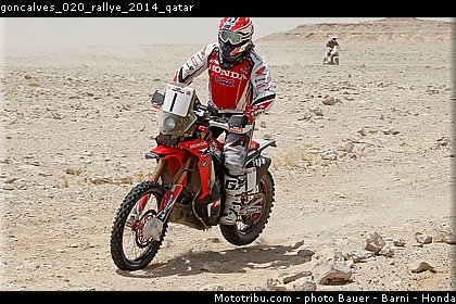 goncalves_020_rallye_2014_qatar.jpg