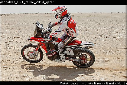 goncalves_021_rallye_2014_qatar.jpg