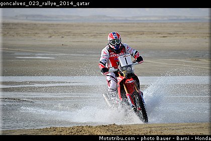 goncalves_023_rallye_2014_qatar.jpg