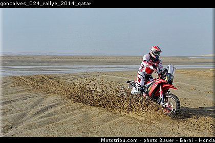 goncalves_024_rallye_2014_qatar.jpg