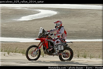 goncalves_025_rallye_2014_qatar.jpg