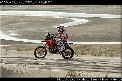 goncalves_026_rallye_2014_qatar.jpg