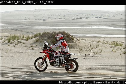 goncalves_027_rallye_2014_qatar.jpg