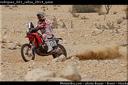 rodrigues_001_rallye_2014_qatar.jpg