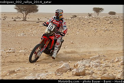 rodrigues_002_rallye_2014_qatar.jpg