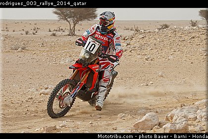 rodrigues_003_rallye_2014_qatar.jpg