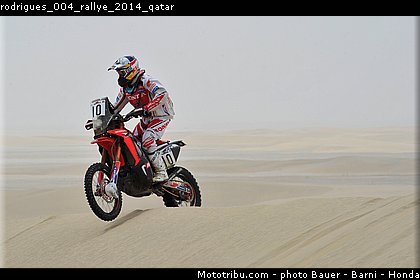 rodrigues_004_rallye_2014_qatar.jpg