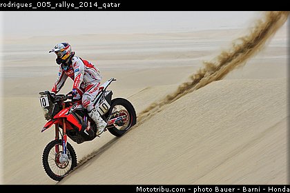 rodrigues_005_rallye_2014_qatar.jpg
