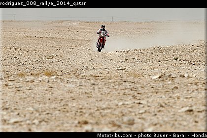 rodrigues_008_rallye_2014_qatar.jpg