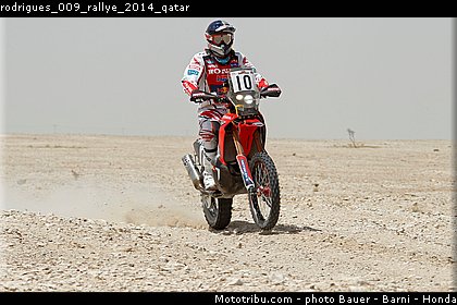 rodrigues_009_rallye_2014_qatar.jpg