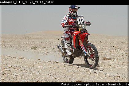 rodrigues_010_rallye_2014_qatar.jpg