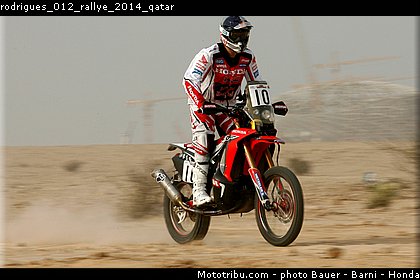 rodrigues_012_rallye_2014_qatar.jpg