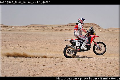 rodrigues_013_rallye_2014_qatar.jpg