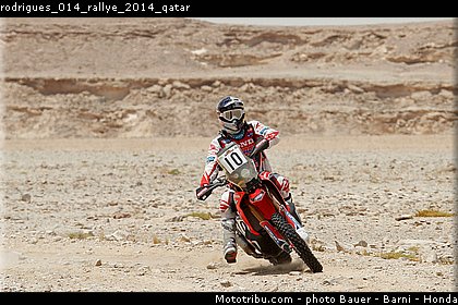 rodrigues_014_rallye_2014_qatar.jpg