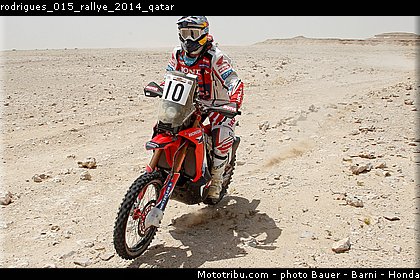 rodrigues_015_rallye_2014_qatar.jpg