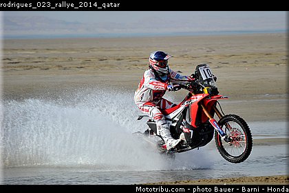 rodrigues_023_rallye_2014_qatar.jpg