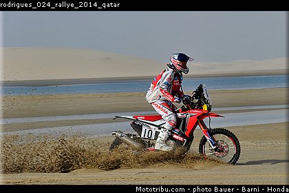 rodrigues_024_rallye_2014_qatar.jpg