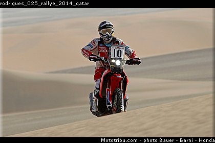 rodrigues_025_rallye_2014_qatar.jpg