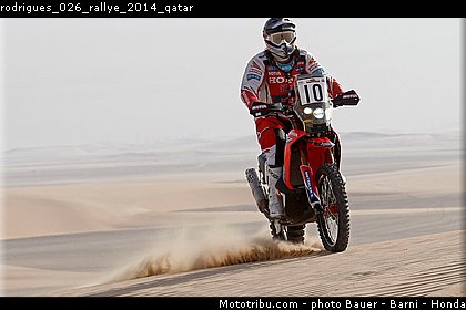 rodrigues_026_rallye_2014_qatar.jpg