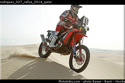 rodrigues_027_rallye_2014_qatar.jpg