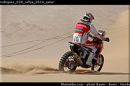 rodrigues_028_rallye_2014_qatar.jpg