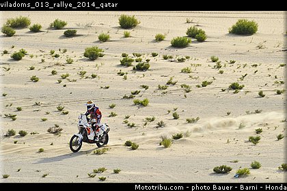 viladoms_013_rallye_2014_qatar.jpg