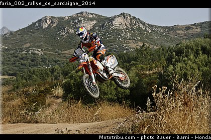 faria_002_rallye_de_sardaigne_2014.jpg