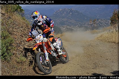 faria_005_rallye_de_sardaigne_2014.jpg