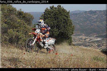 faria_006_rallye_de_sardaigne_2014.jpg