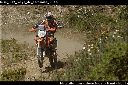 faria_009_rallye_de_sardaigne_2014.jpg