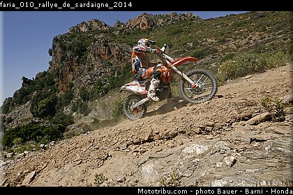 faria_010_rallye_de_sardaigne_2014.jpg