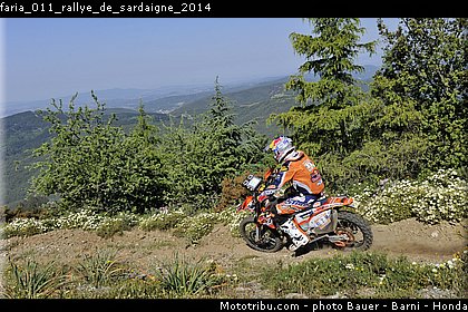 faria_011_rallye_de_sardaigne_2014.jpg